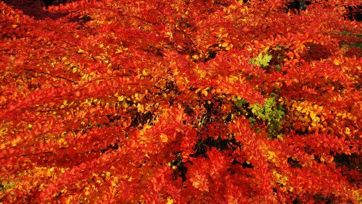 1182944 (a): :2560x1440
